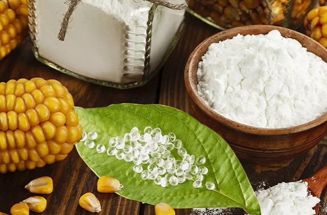 Biodegradable Food Packaging Bags Biodegradable Food Packaging Bags